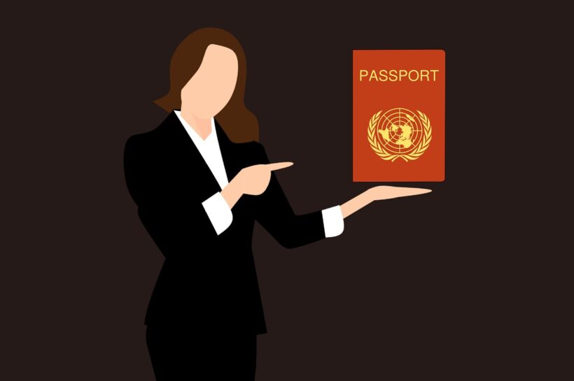 passport stamp, travel, passport cover-3487699.jpg